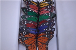 Large Multi-Colored Butterfly