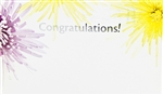 "Congratulations" Colored Mums Enclosure Cards (pack of 50)