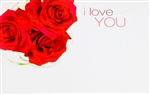 "I Love You" Roses Enclosure Cards (pack of 50)