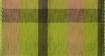 Ribbon #40 Wired Lime Green Chic Plaid  027 50