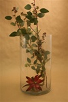 Cylinder Glass Vase 8x14