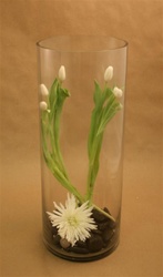 Cylinder Glass Vase 8x20