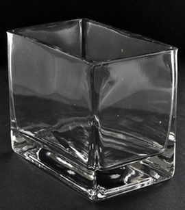 Square Glass Vase 5x3x4