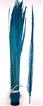 Dyed Turquoise Ringneck Pheasant Tail Feathers 20"-22" (Pack of 100)
