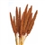 Hilander Grass, 1 pc/bunch, 26", Autumn Color