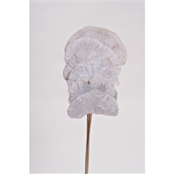 Mushroom Sponge 16", White, 6pc/Bunch
