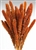 Dried Setaria, Burnt Oak Color, 4oz/Bunch