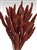 Dried Setaria, Chocolate Color, 4oz/Bunch