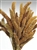 Dried Setaria, Natural Color, 4oz/Bunch