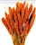 Dried Setaria, Tangerine Color, 4oz/Bunch