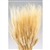 Wheat, Natural Color, 8oz/Bunch