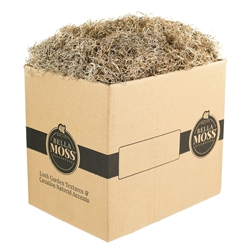 BELLA MOSS, DRIED SPANISH MOSS 5LB BULK