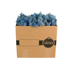 Reindeer Moss, Lavender Blue, Bulk 3 Pound Box