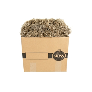 Bella Moss, Preserved Spanish Moss, Natural Bulk 3lb box