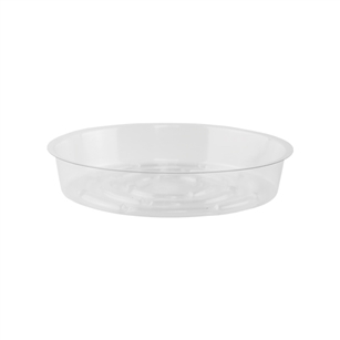 7" Saucer, Crystal,  Pack Size: 600