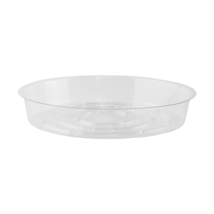 8" Saucer, Crystal,  Pack Size: 600