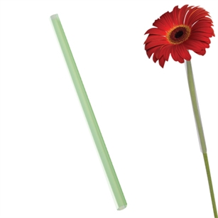 8 1/4" Flower Gerbera Straw, Green,  Pack Size: 2500