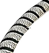 Lady Amherst Tail Centers 30-35", Washed (Zebra Striped) - Each