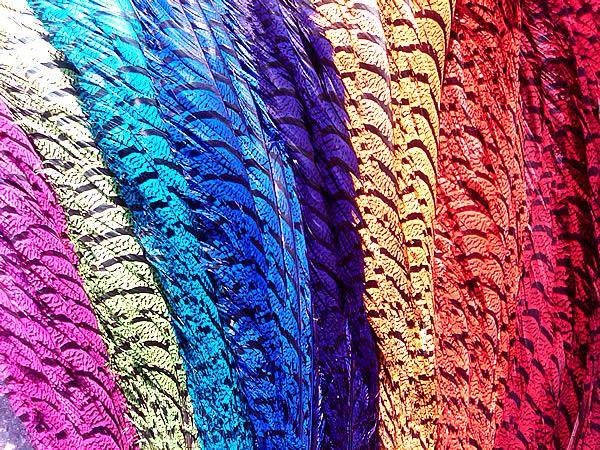 Lady Amherst Pheasant Tail Centers Dyed Royal Blue - Each