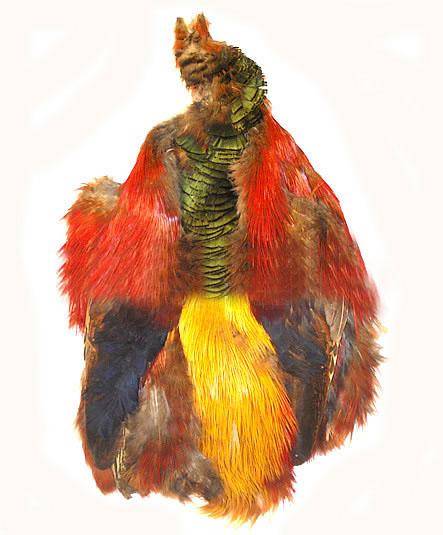 Golden Pheasant "Bird in a Bag"
