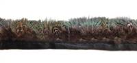 Feather Trim - Ringneck Pheasant Green Almonds - Per 2 Yard Strand