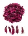 Guinea Fowl Plumage Dyed Fuchsia - Per 1/2 lb