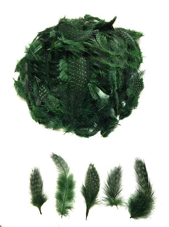 Guinea Fowl Plumage Dyed Green - Per 1/2 lb