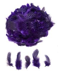 Guinea Fowl Plumage Dyed Purple - Per 1/2 lb