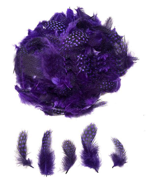 Guinea Fowl Plumage Dyed Purple - Per 1/2 lb