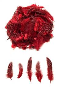 Guinea Fowl Plumage Dyed Red - Per 1/2 lb
