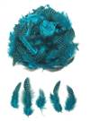 Guinea Fowl Plumage Dyed Turquoise - Per 1/2 lb