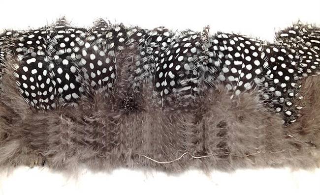 Strung Guinea Fowl Plumage, Large Eyes 3-4" - Per 1/2 lb