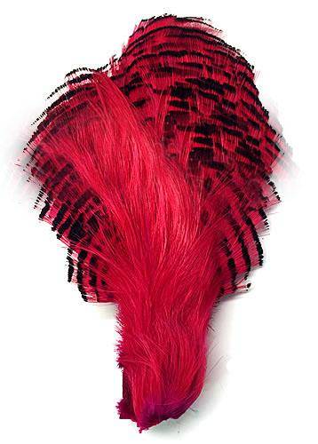 Golden Pheasant Crown, Dyed Fuchsia