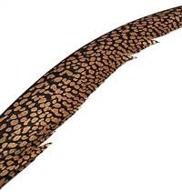 Golden Pheasant Center Tail Feathers 25-30" - Each