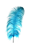 17-21" Ostrich Feathers - Turquoise (1/2 Pound)