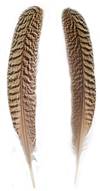 Mottled Peacock Wing Quills 10" & Up - Per Pair