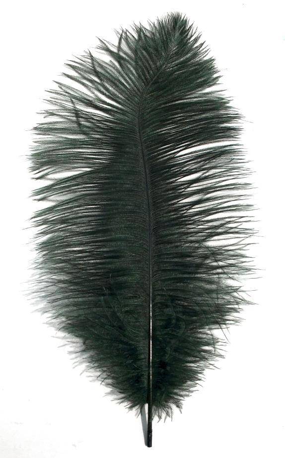 Ostrich Drabs 14-16" Dyed Bottle Green - Per 1/2 lb