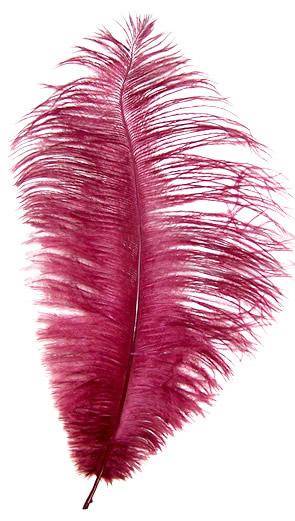 Ostrich Drabs 14-16" Dyed Burgundy - Per 1/2 lb
