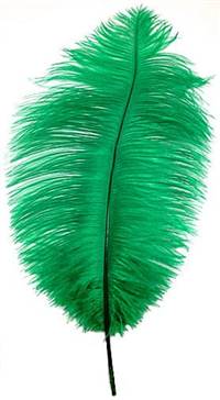 Ostrich Drabs 14-16" Dyed Green - Per 1/2 lb