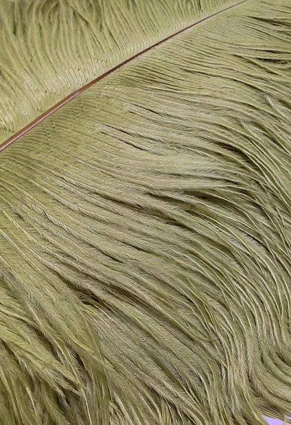 Ostrich Drabs 14-17" Dyed Light Olive - Per 1/2 lb