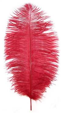 Ostrich Drabs 14-16" Dyed Red - Per 1/2 lb