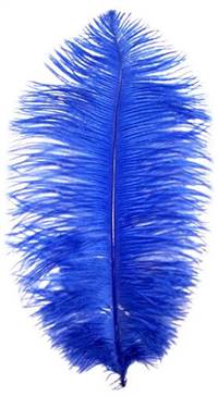 Ostrich Drabs 14-16" Dyed Royal Blue - Per 1/2 lb