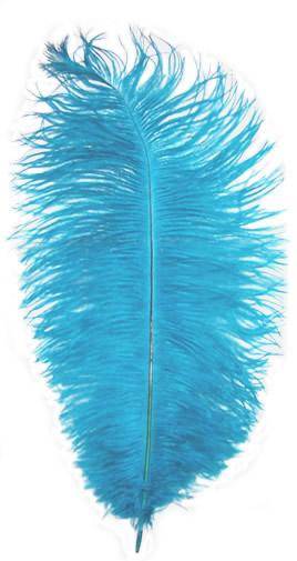 Ostrich Drabs 14-16" Dyed Turquoise - Per 1/2 lb