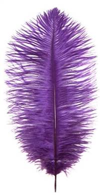 Ostrich Drabs 19-22" Dyed Purple - Per 1/2 lb