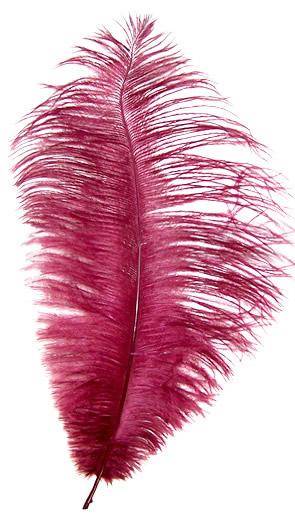 Ostrich Drabs 9-13" Dyed Burgundy - Per 1/2 lb