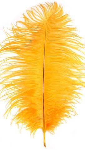 Ostrich Drabs 9-13" Dyed Gold - Per 1/2 lb