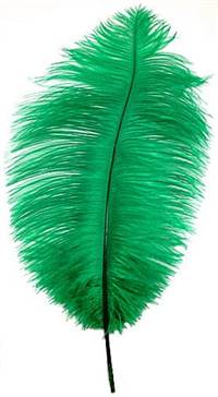 Ostrich Drabs 9-13" Dyed Kelly Green - Per 1/2 lb