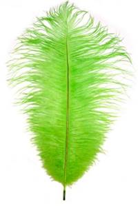 Ostrich Drabs 9-13" Dyed Lime - Per 1/2 lb