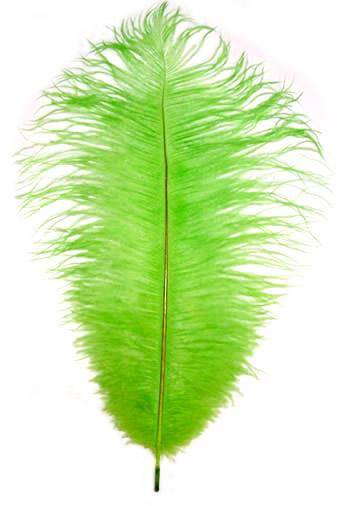 Ostrich Drabs 9-13" Dyed Lime - Per 1/2 lb