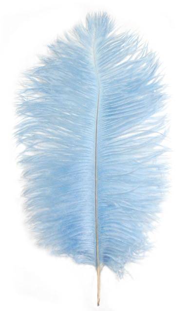 Ostrich Drabs 9-13" Dyed Light Blue - Per 1/2 lb